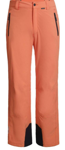 Брюки горнолыжные Icepeak 657038839IV 455 в Самаре