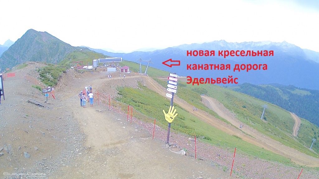 дельвейс.jpg дельвейс.jpg