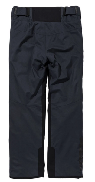 Брюки горнолыжные Phenix Blizzard в Самаре