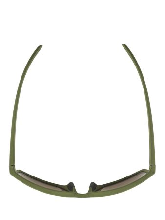Купить Очки Alpina Nacan I Olive Matt/Bronce Mirror Cat.3 в Самаре