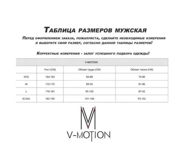 Термобельё V-MOTION Base мужской серебристый в Самаре