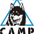 Купить в кошки camp Кошки CAMP в Самаре