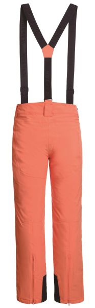 Брюки горнолыжные Icepeak 657038839IV 455 в Самаре