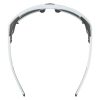 Купить Очки Alpina Skywalsh Q Smoke-Grey Matt/Green Mirror Cat.4 Fogstop в Самаре