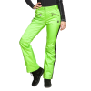 Брюки горнолыжные Sportalm Jump JF W 882811148 Lime в Самаре