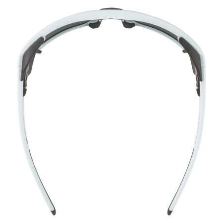 Купить Очки Alpina Skywalsh Q Smoke-Grey Matt/Green Mirror Cat.4 Fogstop в Самаре