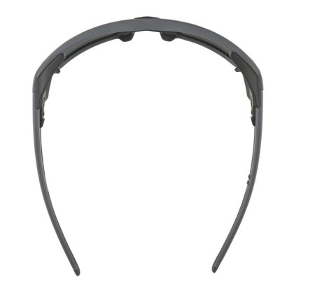 Купить Очки Alpina Skywalsh Q Midnight-Grey Matt/Blue Mirror Cat.4 Fogstop в Самаре