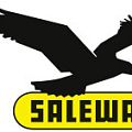 Карабины SALEWA в Самаре Карабины SALEWA в Самаре