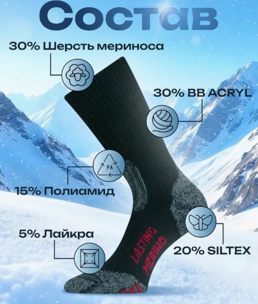 Купить Носки Lasting TXC 900 в Самаре